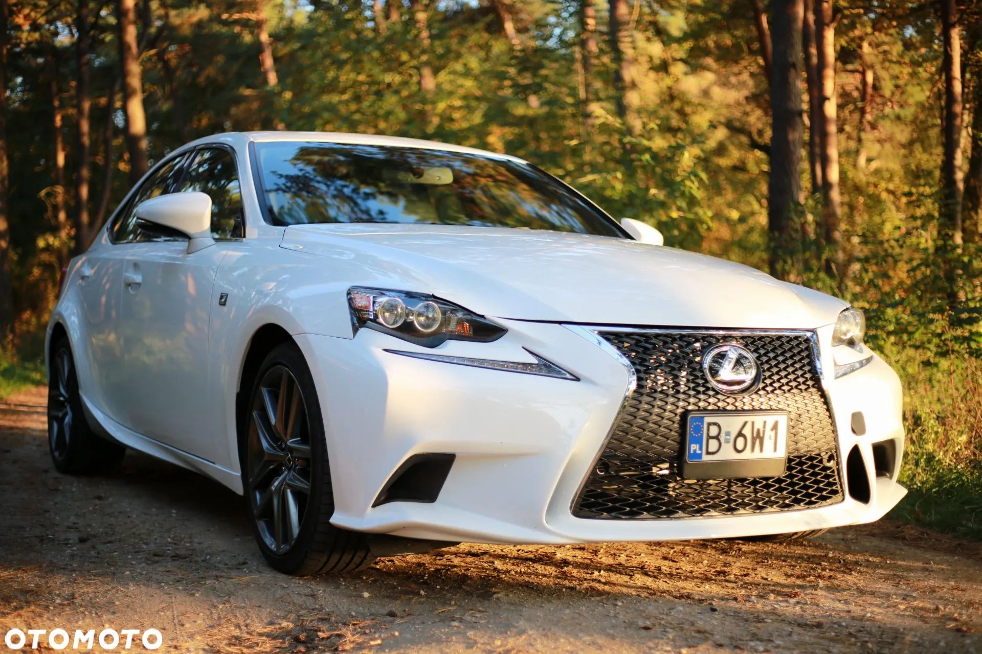 Lexus Inny - 1