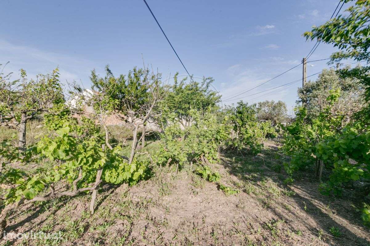 Moradia T2 para venda - Grande imagem: 4/6