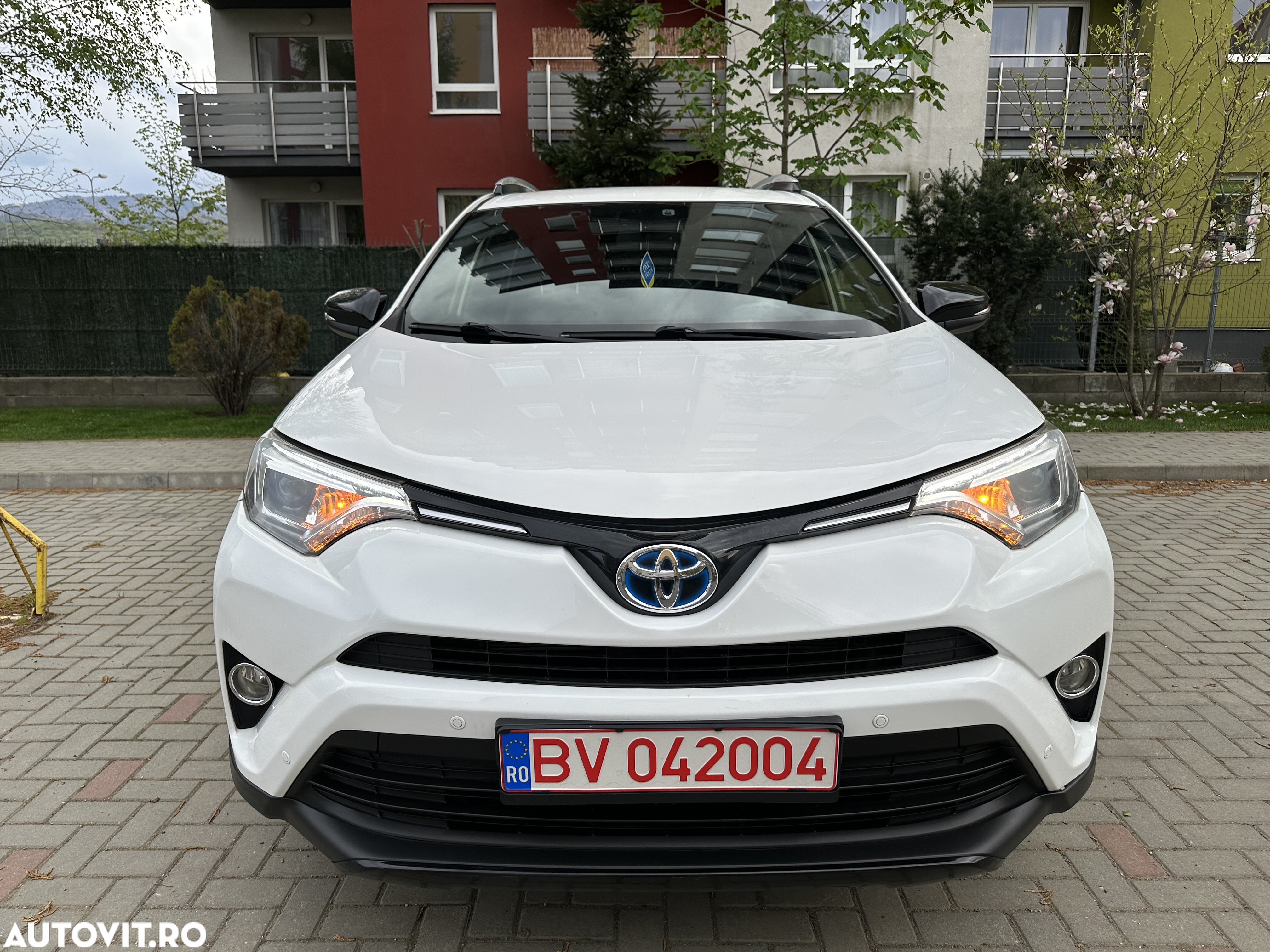 Toyota RAV4 2.5 4x2 Hybrid Edition - 9