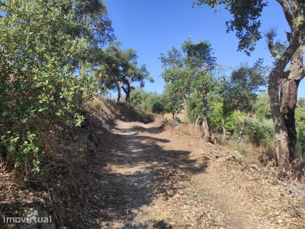 Refúgio Exclusivo em Grândola: Quinta com 35 Hectares e Potencial I... - Grande imagem: 2/15