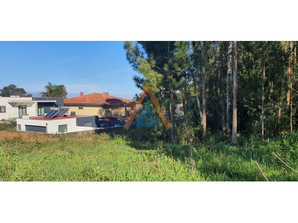 ESTE É O TERRENO QUE PROCURA - Grande imagem: 5/6