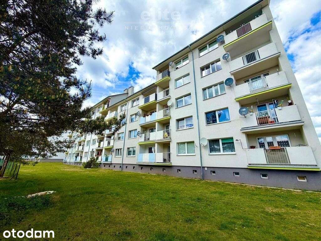 Os. Gryfitów, Spółdzielcze 3 pok balkon piwnica