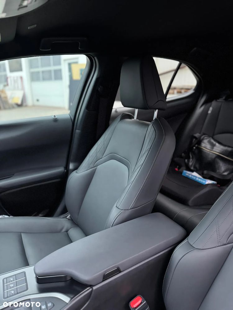 Lexus UX 250h GPF F Sport 2WD - 16