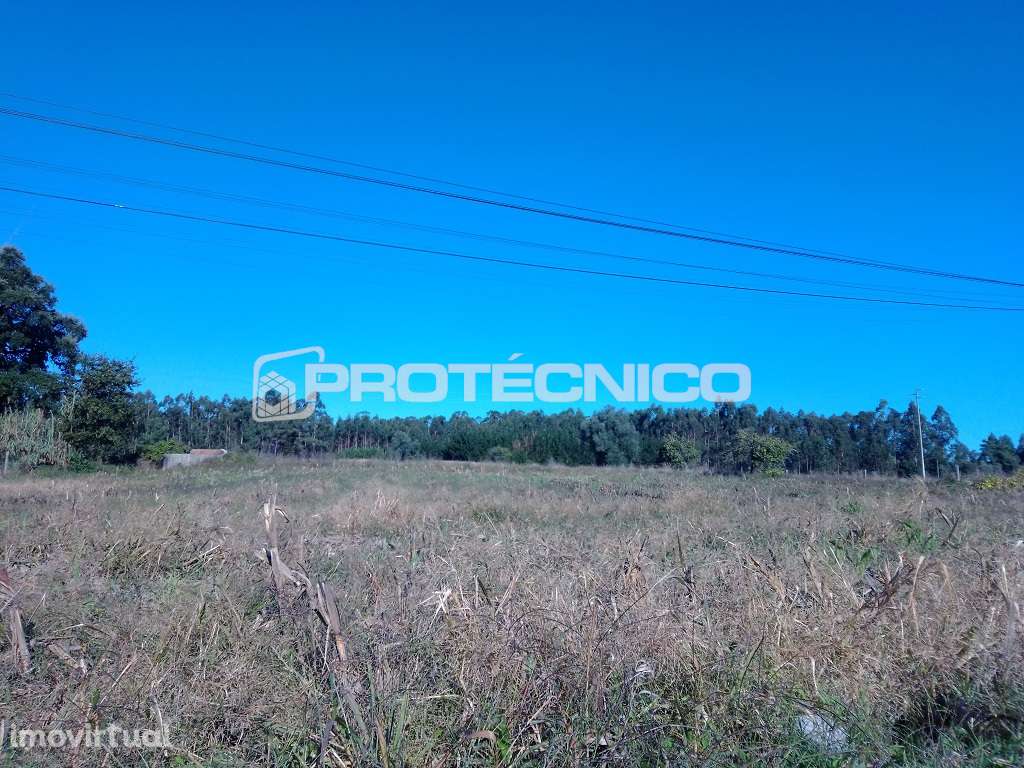 Terreno p/ construção de Moradias Isoladas - Oliveirinha - Grande imagem: 2/4