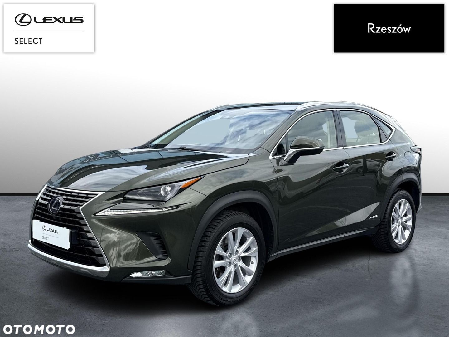 Lexus NX - 1