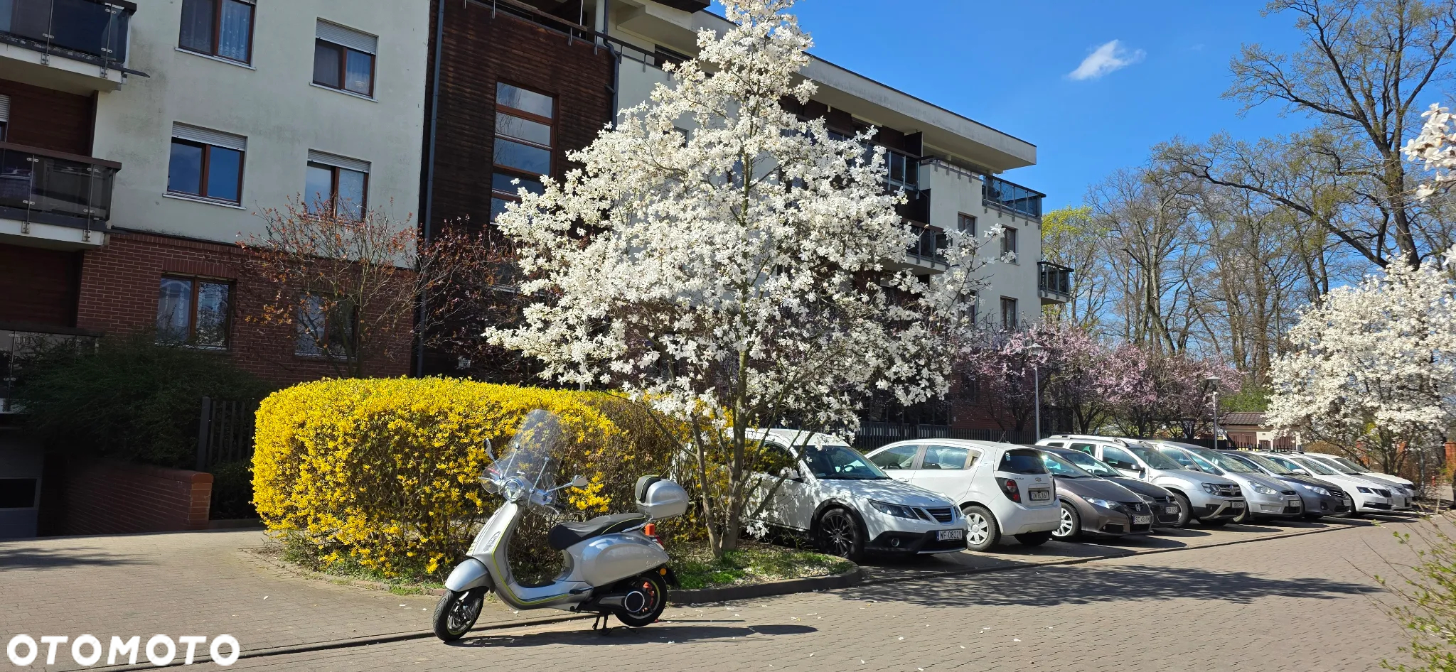 Vespa Elettrica - 3