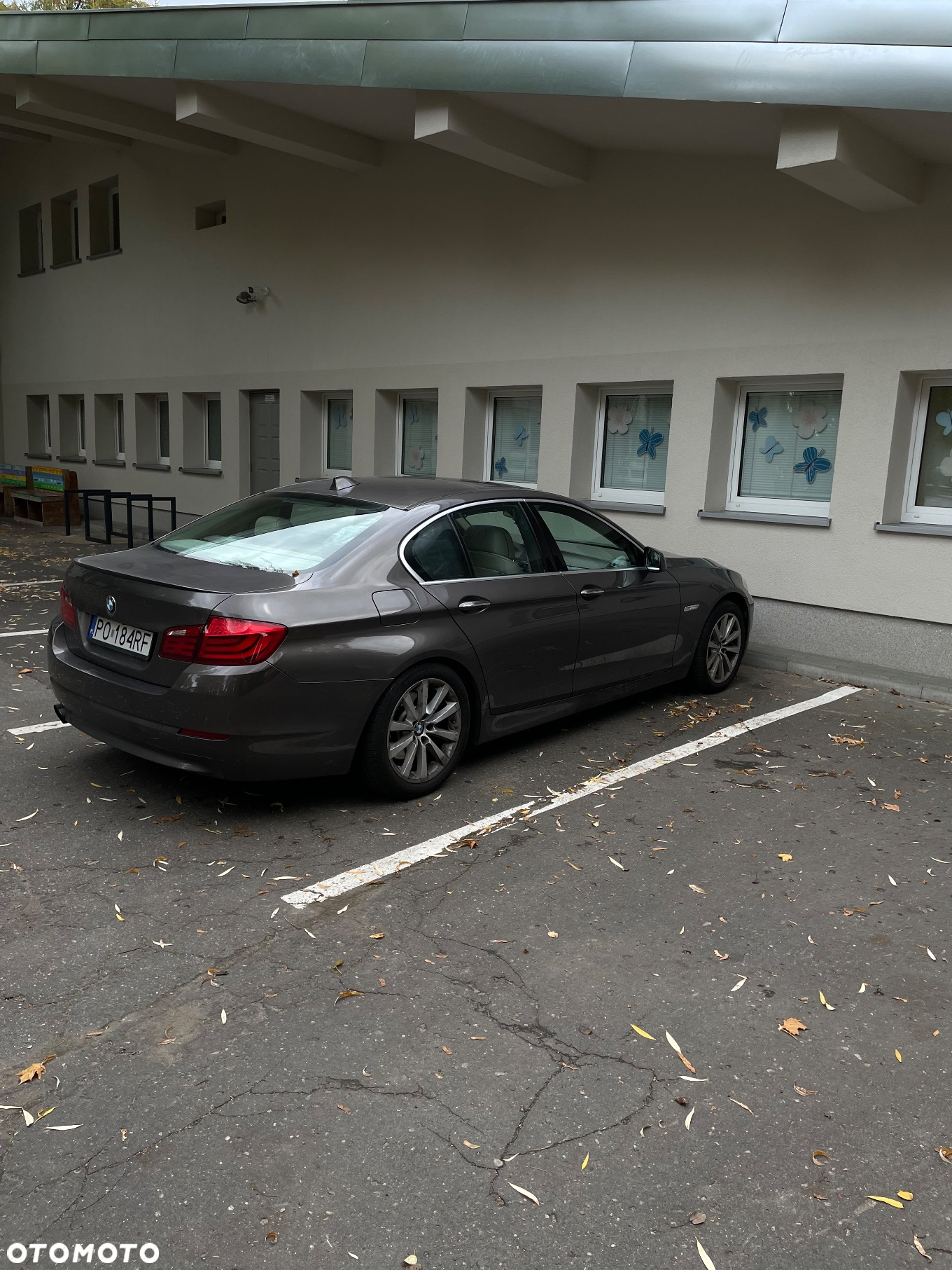 BMW Seria 5 - 11