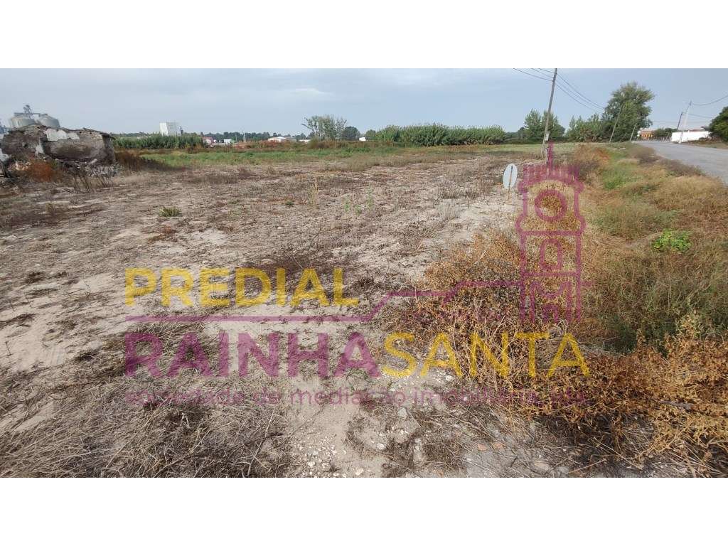 Terreno/ construção de moradias- Foros Salvaterra de Magos - Grande imagem: 2/6