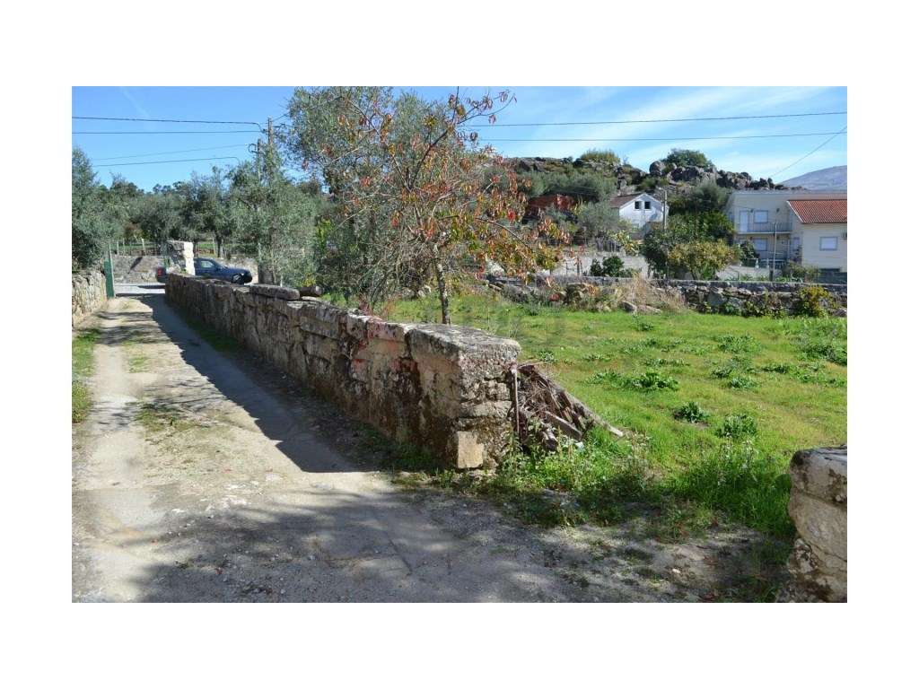 MORADIA EM PEDRA COM VISTAS PARA A SERRA DA ESTRELA SANTIAGO SEIA - Grande imagem: 5/19