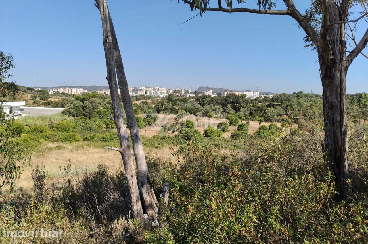 Terreno com 36.760 m² em São Sebastião, Setúbal - Grande imagem: 4/7