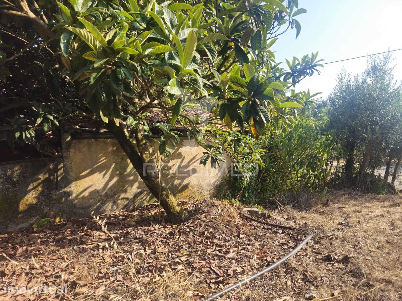 Terreno em Ferreira do Zêzere - Grande imagem: 3/20