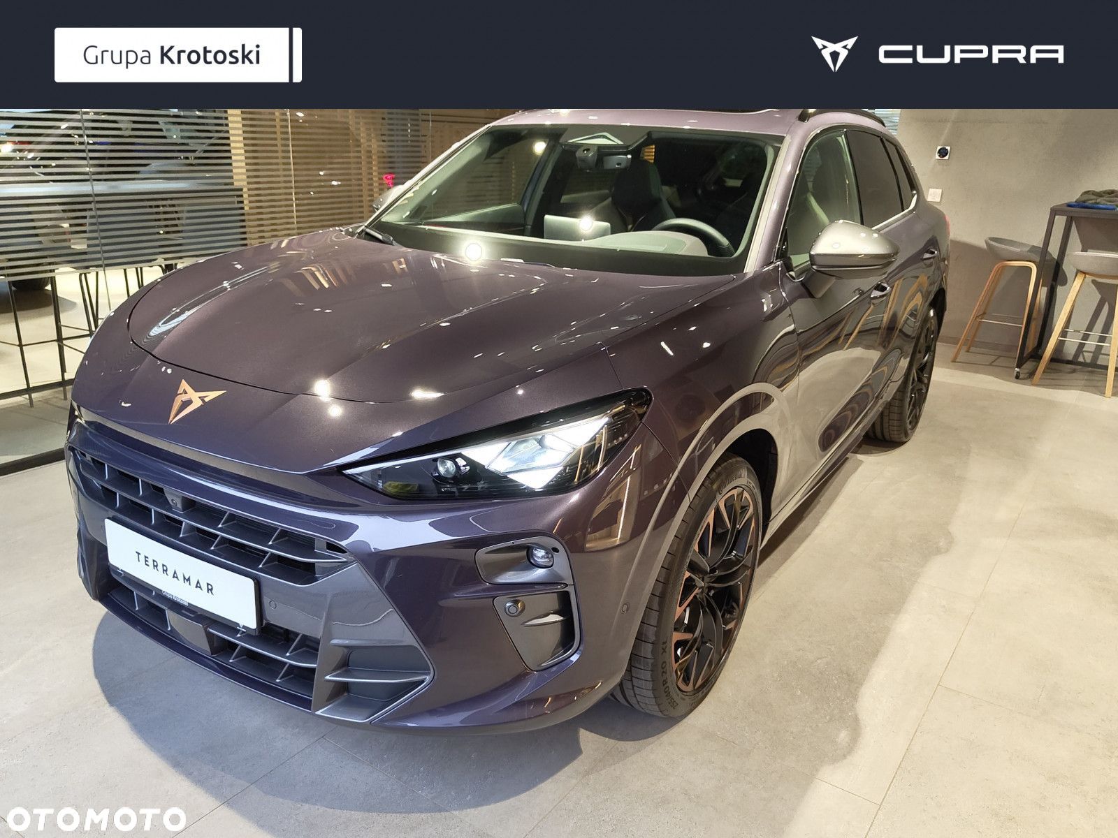 Cupra Terramar - 1