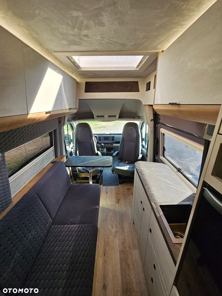 Globe-Traveller Falcon - 14