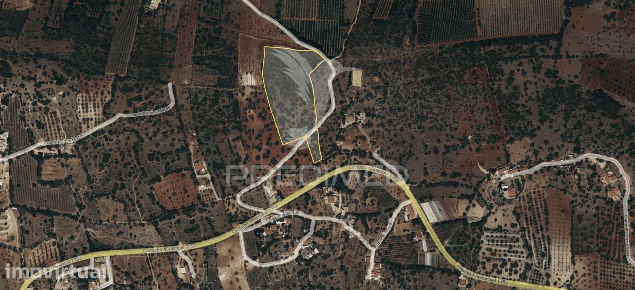 Albufeira-Paderne Matos Cima - Terreno Rustico 23.520m2 - Grande imagem: 2/16