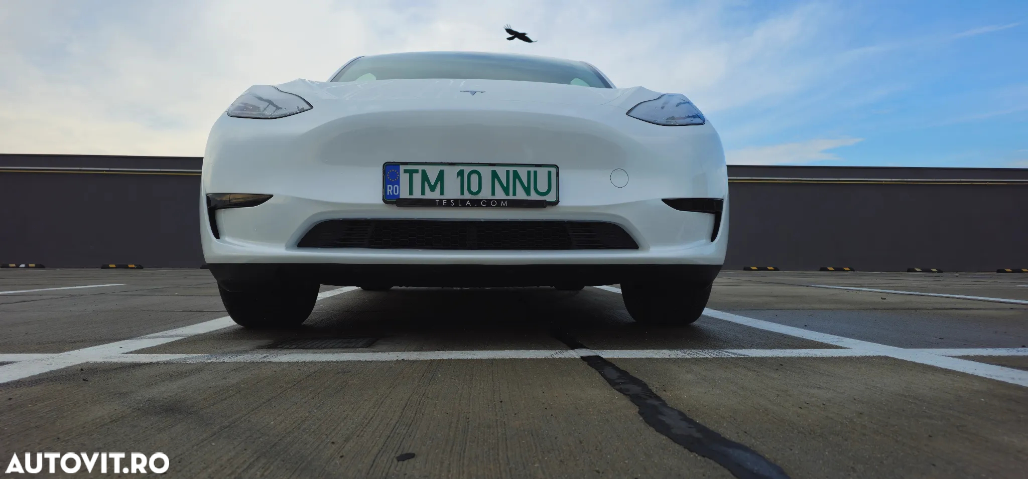 Tesla Model Y - 9