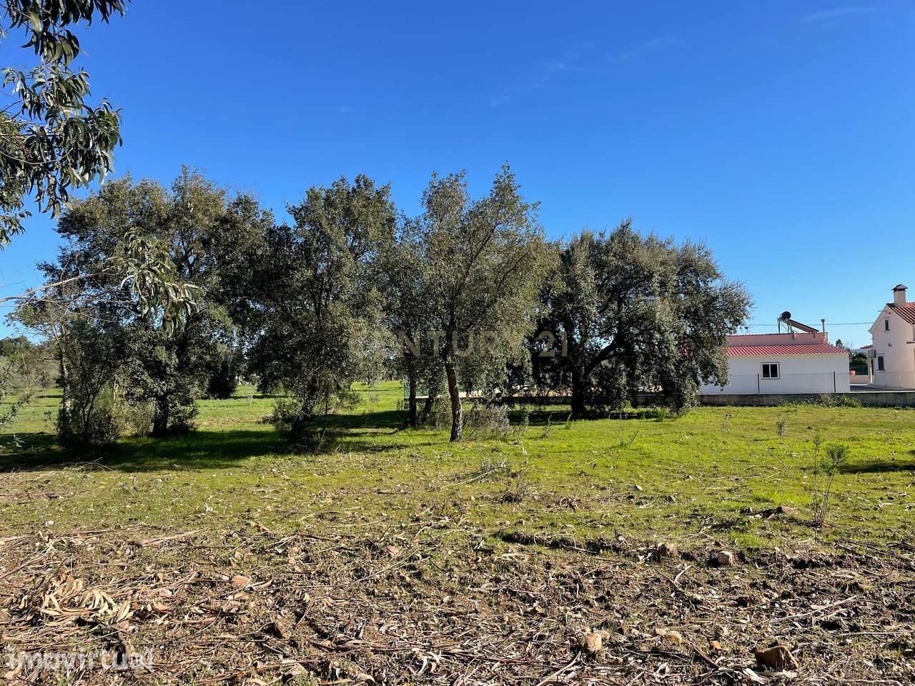 Terreno em Martinchel, Abrantes - Grande imagem: 3/13