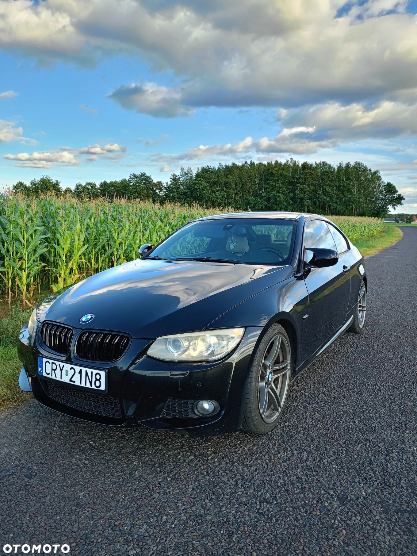 BMW Seria 3 - 1