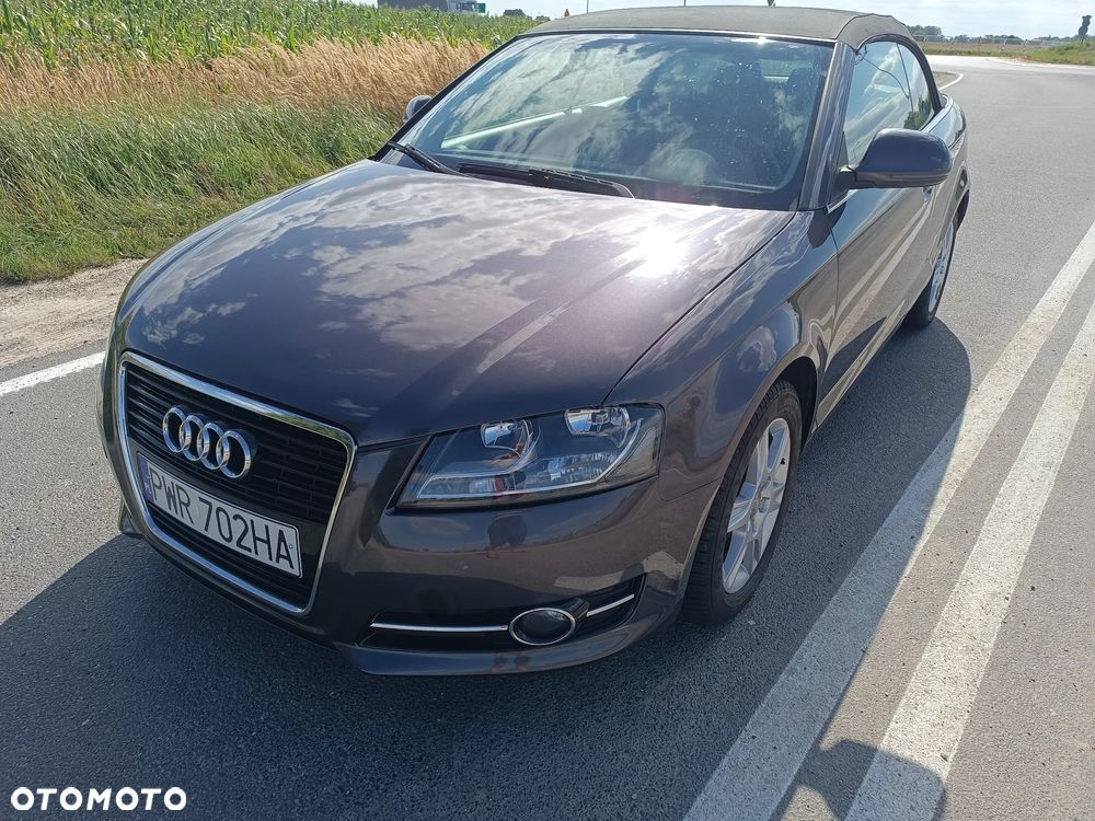 Audi A3 Cabrio 1.9 TDI DPF Ambition - 18