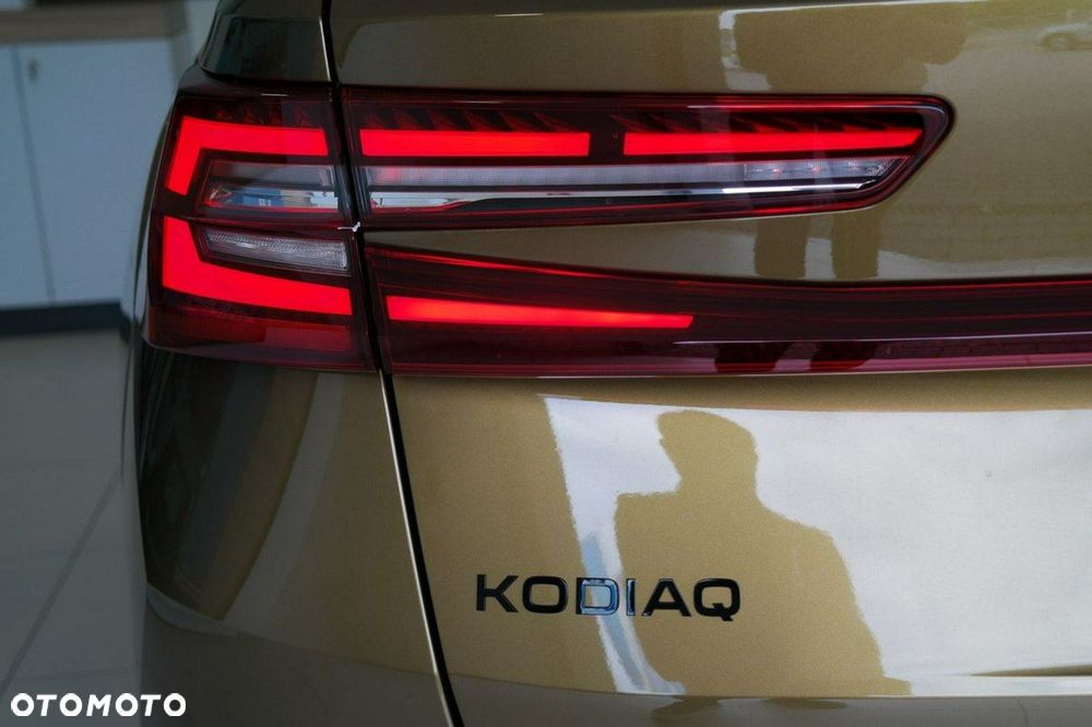 Skoda Kodiaq - 10