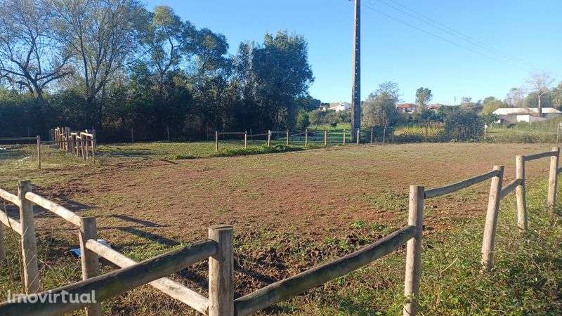 5.000 m2 a 300m do açude em Coimbra com infraestruturas para cavalos - Grande imagem: 3/8