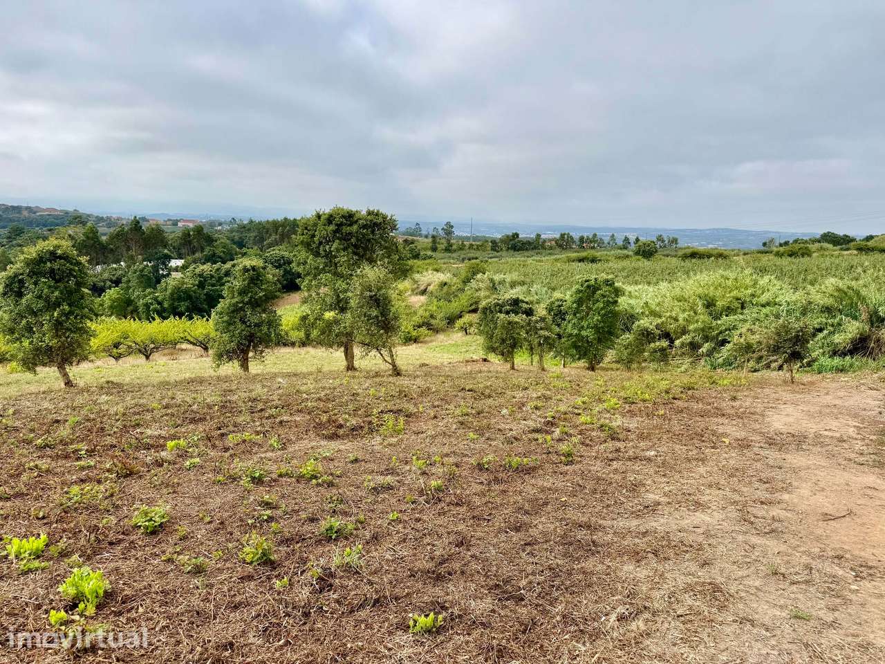 Terreno para Construção com 2.480 m2 - Usseira, Óbidos – Portugal - Grande imagem: 2/14