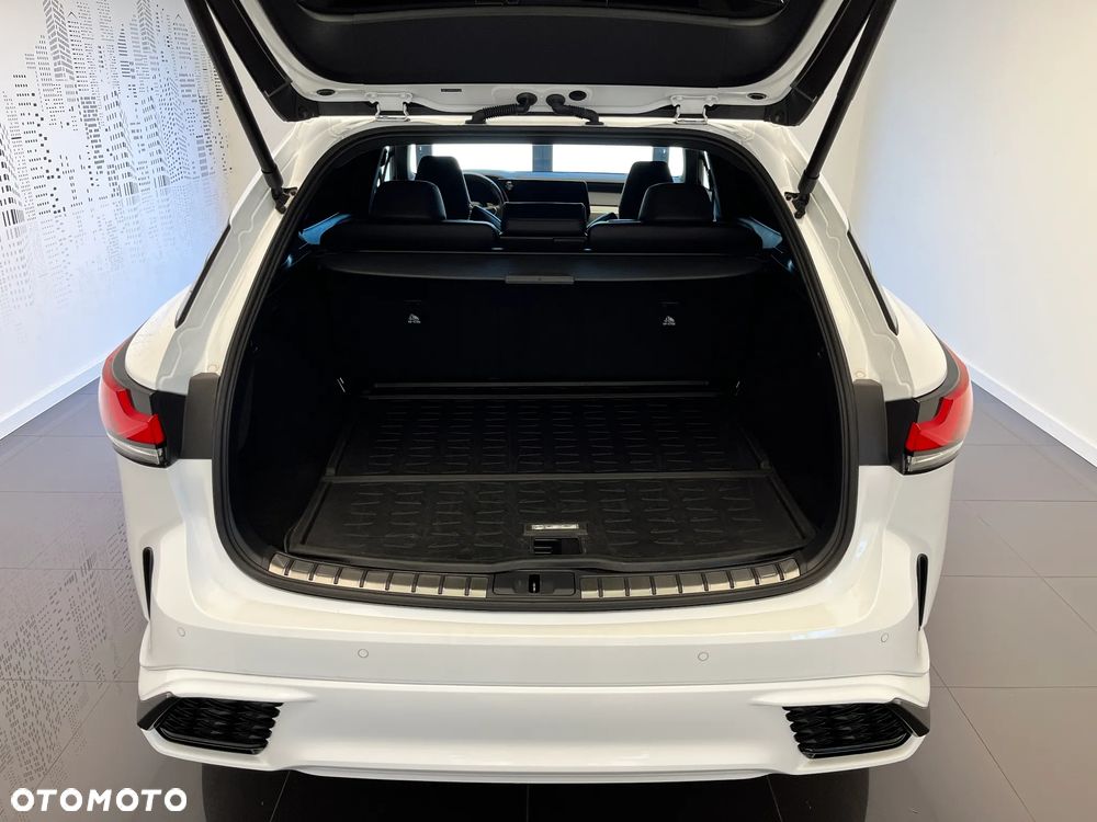 Lexus RX 500h (hybrid) F SPORT+ - 9