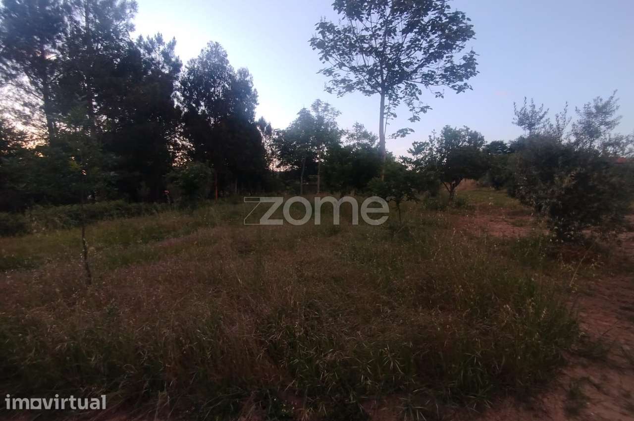 Terreno para construir o seu Sonho - Grande imagem: 2/21