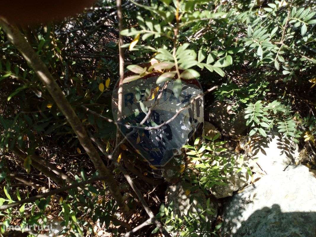 Terreno T0 para venda - Grande imagem: 5/9