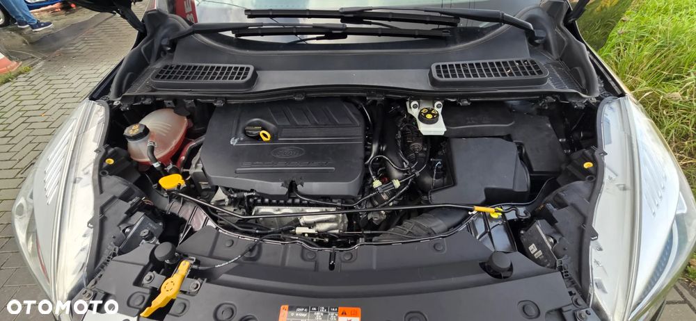 Ford Kuga 1.5 EcoBoost FWD Edition ASS MMT6 - 37