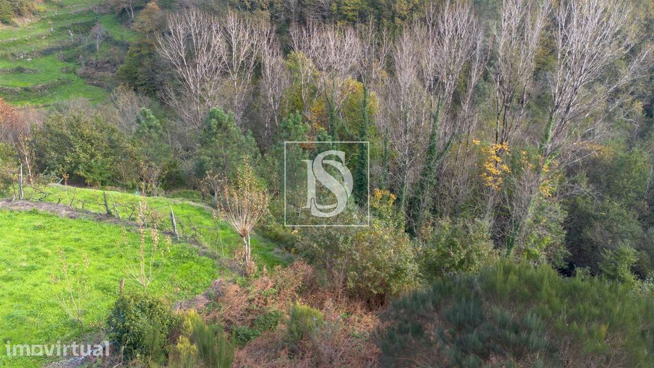 Terreno  Venda em Ansiães,Amarante - Grande imagem: 5/10