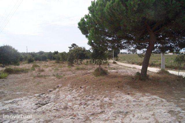 Terreno Rústico em Brescos - Vila Nova Sto. André - Grande imagem: 5/15