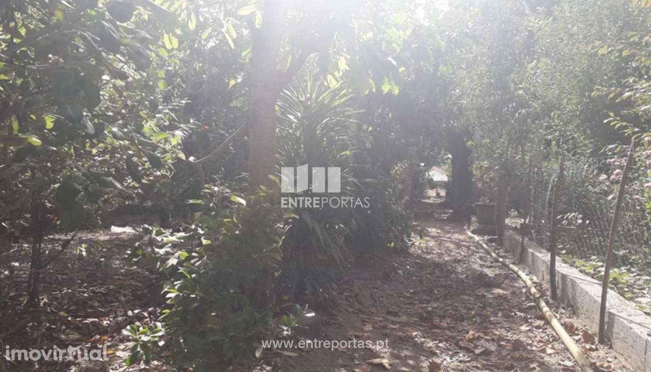 Venda de Terreno, Vila Nova de Anha, Viana do Castelo. - Grande imagem: 5/30