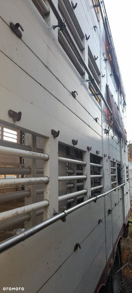 Zorzi 36s 136/19 LA - 30