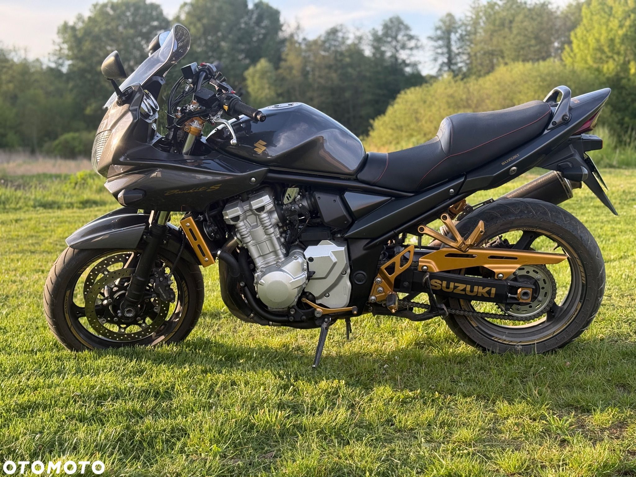 Suzuki Bandit - 1