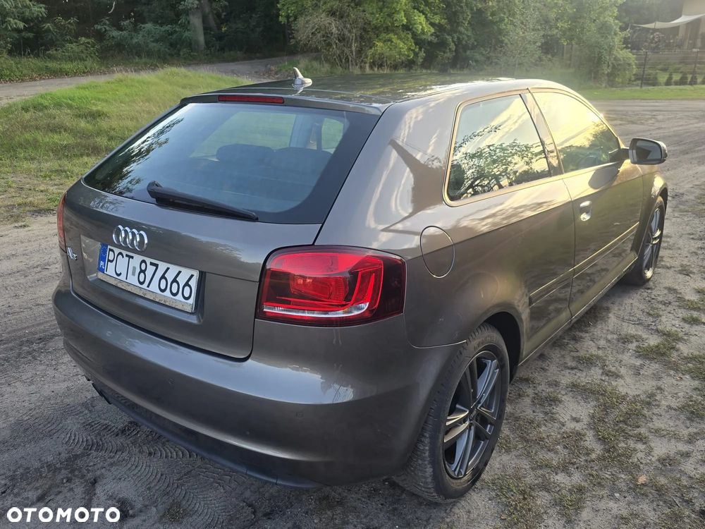 Audi A3 3-drzwiowe 2.0 TDI DPF Quattro Ambition - 5