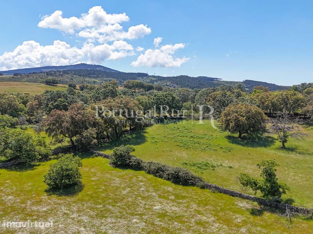 Quinta de 10 ha com projeto aprovado para 2 moradias em Marvão - Grande imagem: 4/60