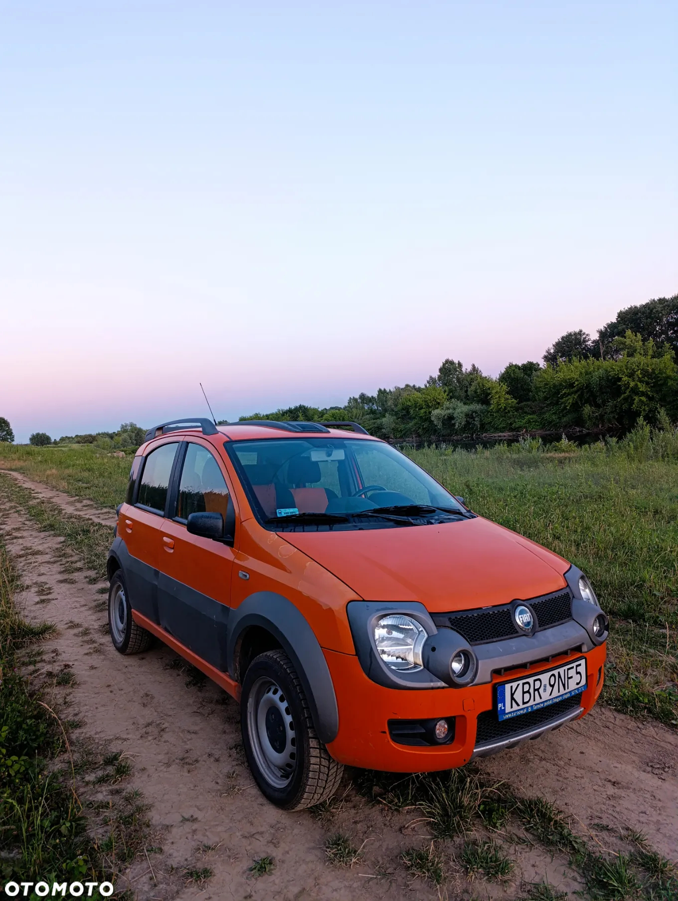 Fiat Panda 1.3 4x4 Multijet Diesel Cross - 4