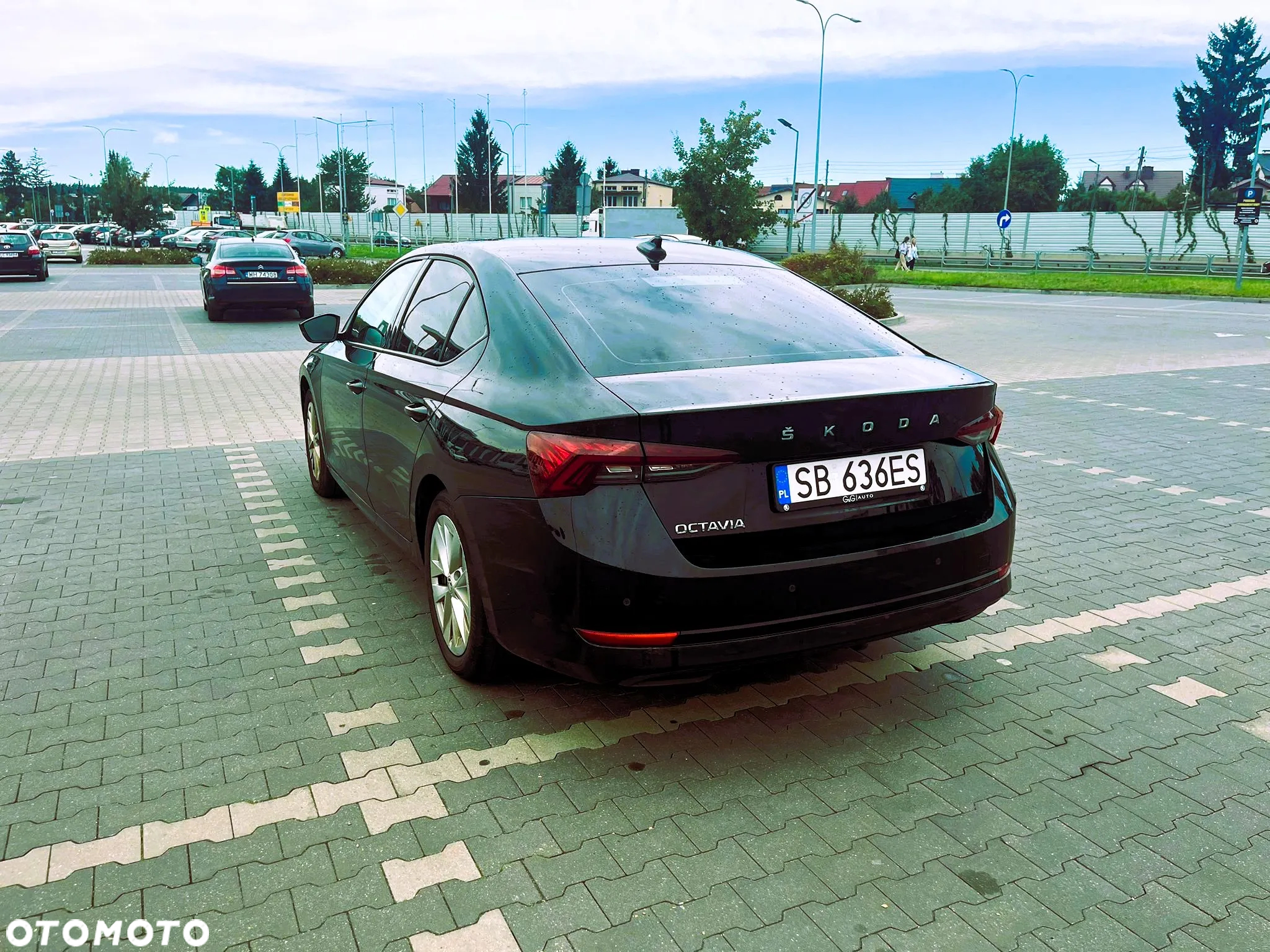 Skoda Octavia - 4