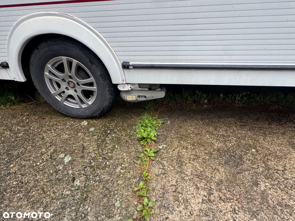 Elddis Avente - 3