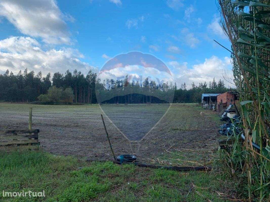 Terreno  para venda - Grande imagem: 2/13