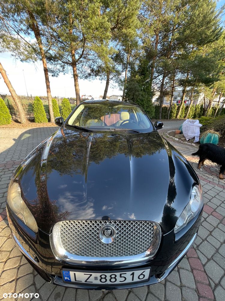 Jaguar XF 2.7 V6 Luxury - 8