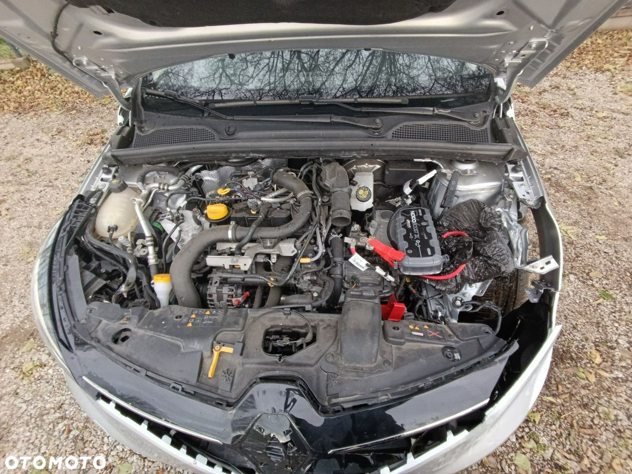 Renault Clio - 17