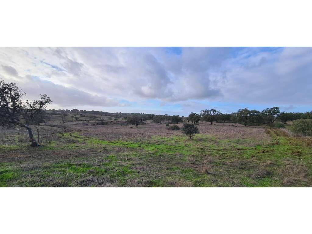 Terreno Rústico - Grande imagem: 2/12