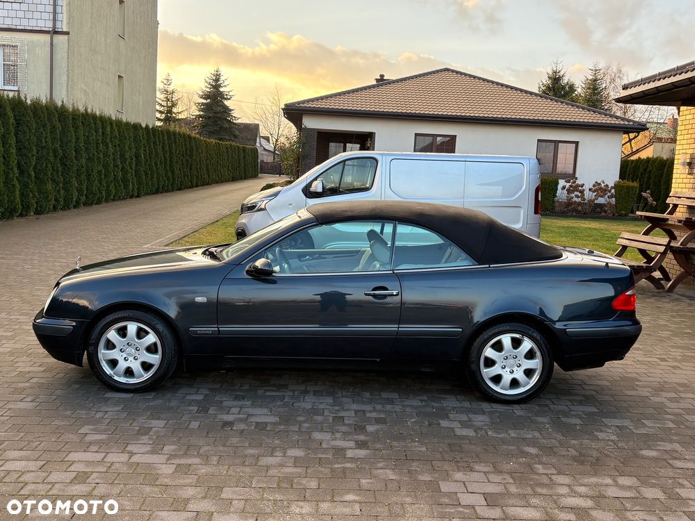 Mercedes-Benz CLK - 19