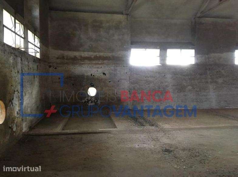 ARMAZEM - BRAGANÇA - Grande imagem: 2/17