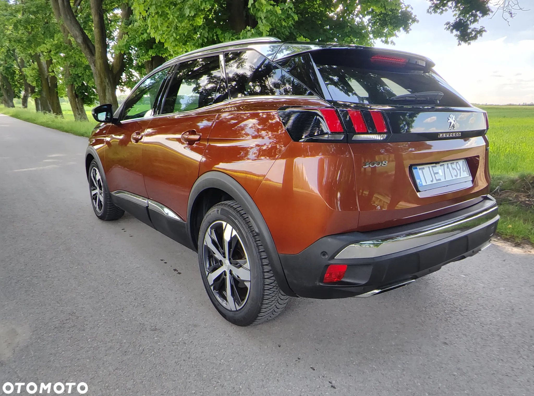 Peugeot 3008 2.0 BlueHDi GT S&S EAT8 - 13