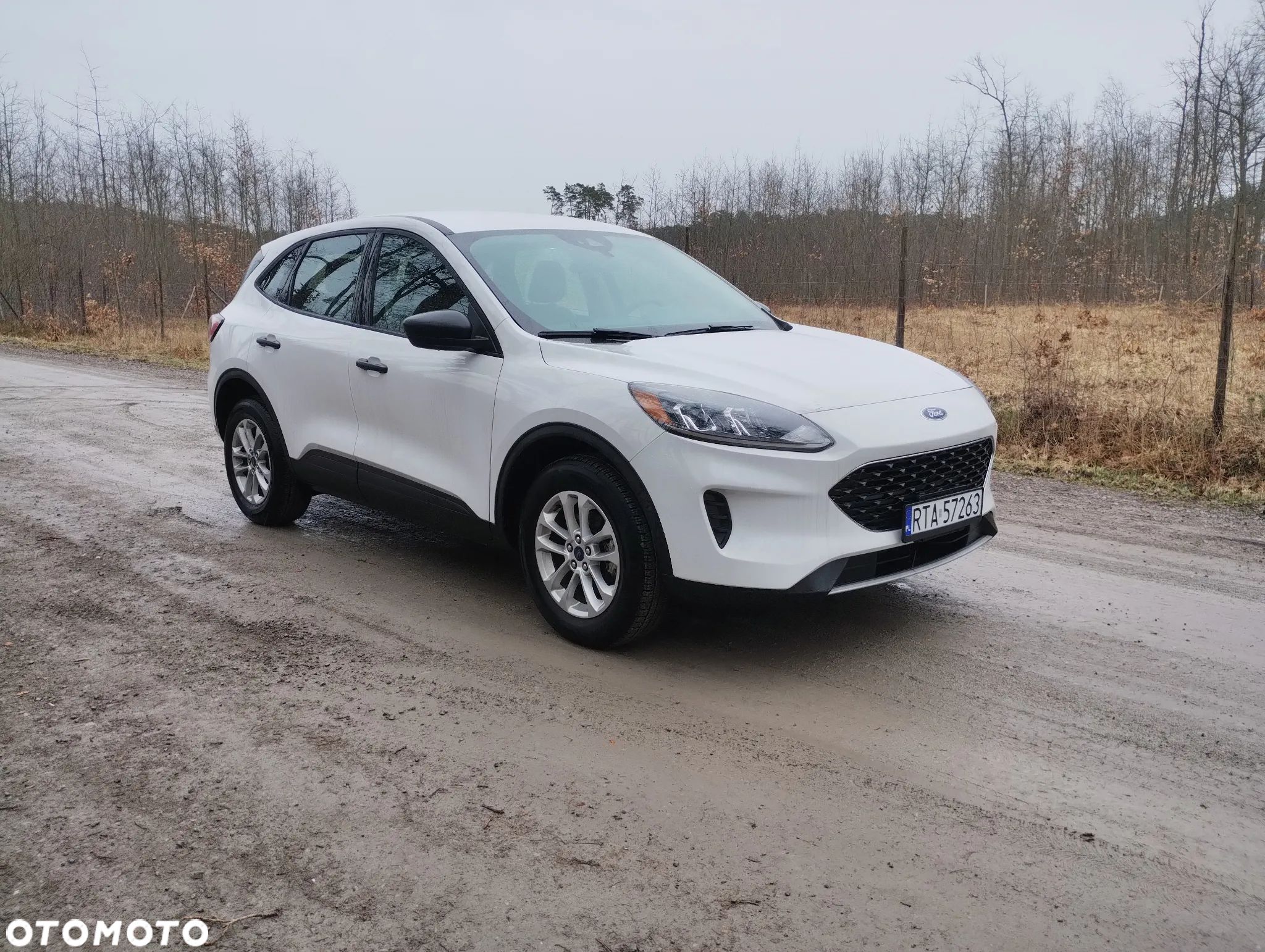 Ford Escape - 1