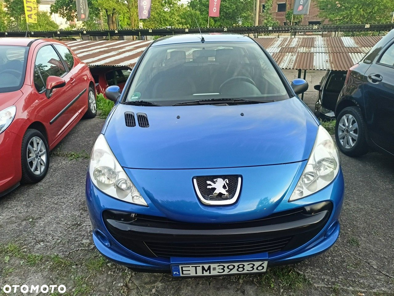 Peugeot 206 plus - 8