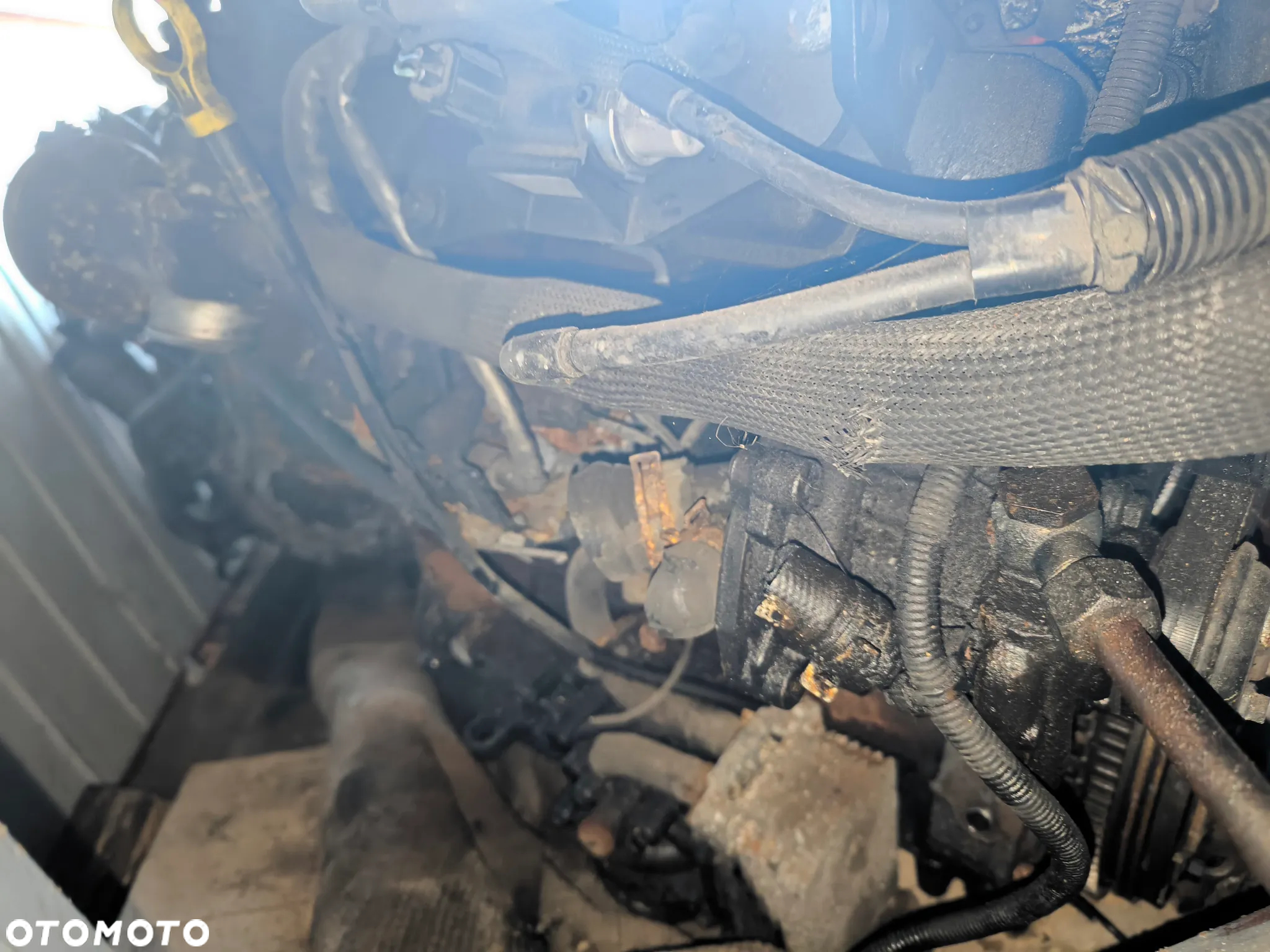 Goły Silnik 2.0 TDCI 130KM Ford Mondeo MK3 MK4 Transit Focus Fiesta FILMIK PO ODPALENIU !!! - 2