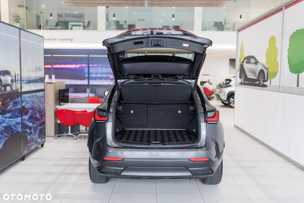 Lexus NX - 23